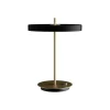 Asteria Bordlampe Usb Mat Sort