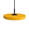 Asteria Micro Saffron Yellow w. Dim - Black Top