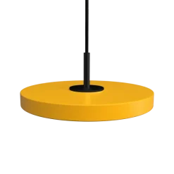 Asteria Micro Saffron Yellow w. Dim - Black Top
