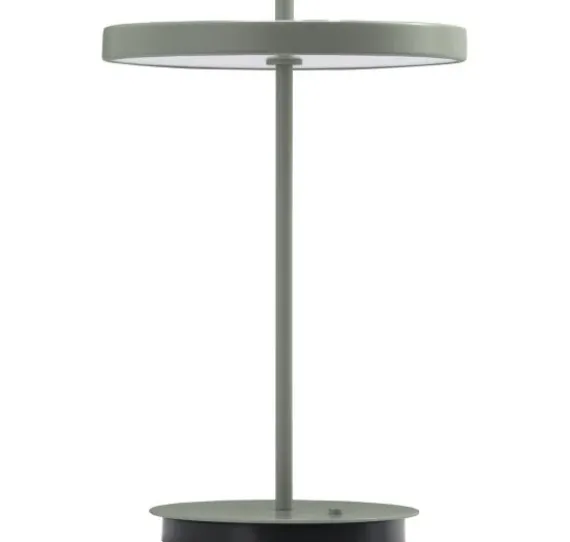 ASTERIA MOVE MONOCHROME LEAF PORTABLE LED