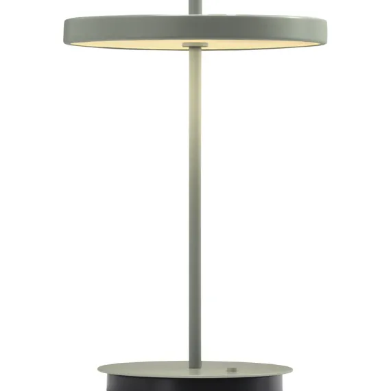 ASTERIA MOVE MONOCHROME LEAF PORTABLE LED