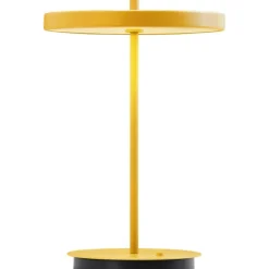 ASTERIA MOVE MONOCHROME SUNFLOWER PORTABLE LED