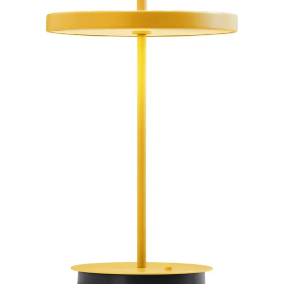 ASTERIA MOVE MONOCHROME SUNFLOWER PORTABLE LED