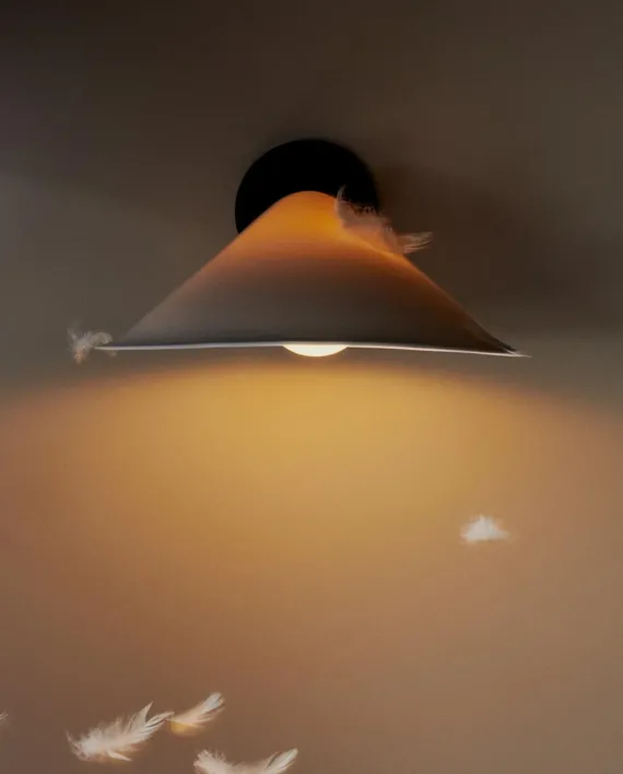 DCWéditions Plume Væglampe - Sort / Polycarbonat