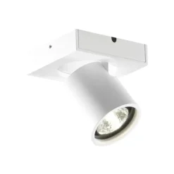 FOCUS 1 WITH SWITCH TUNE, WHITE