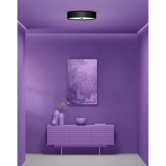 GRAIN - PLAFOND Ø50 L - MAT SORT - BELID