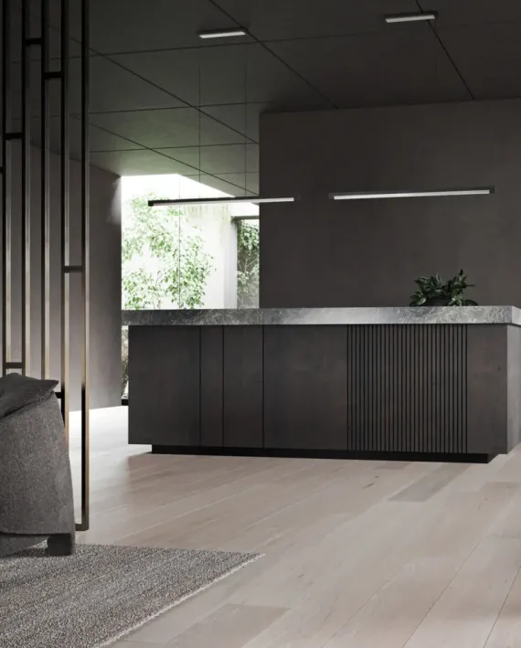 INLAY S1900 LINEAR MB/SS - MATT BLACK/SATIN SILVER