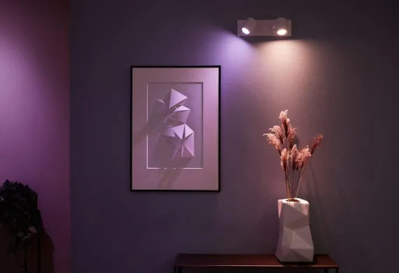 PHILIPS HUE ARGENTA ENKELT 2-SPOT HVID 915005762001