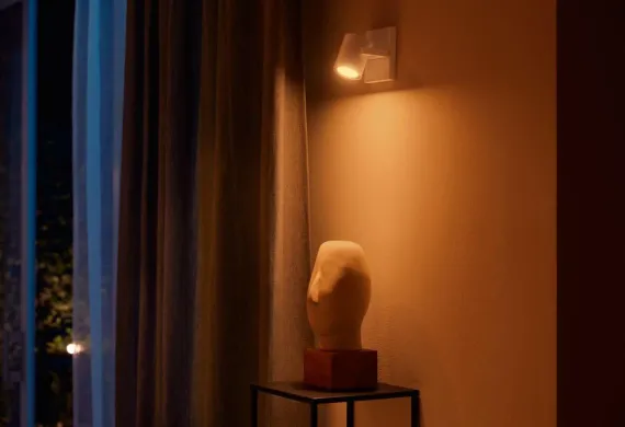 PHILIPS HUE ARGENTA HVID ENKELT SPOT 915005761901