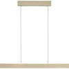 PURE E-MOTION LANGBORDSPENDEL MED MOTOR HEJS MAT MESSING LED