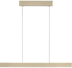 PURE E-MOTION LANGBORDSPENDEL MED MOTOR HEJS MAT MESSING LED