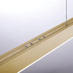 PURE MOTO LANGBORDSPENDEL MED MOTOR UDTRÆK MAT MESSING LED