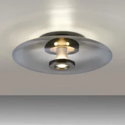 Pure Vitrum Loft-/Væglampe Ø45 - Paul Neuhaus (Røgfarvet Glas, LED)